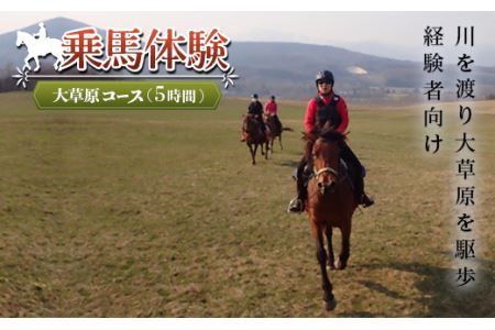 乗馬体験＜大草原コース＞ ( ふるさと納税 乗馬体験 チケット 乗馬 自然 馬 騎乗 レジャー 北海道 遠軽町 株式会社　まきば ) en01-00062