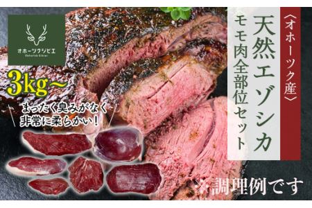 天然エゾシカモモ肉全部位セット ( ふるさと納税 鹿肉 ヘルシー 赤身肉 エゾ鹿 北海道産 焼肉 BBQ 簡単調理 北海道 遠軽町 株式会社オホーツクジビエ ) en01-00119