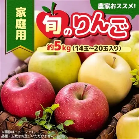 家庭用【令和8年8月～令和8年9月発送分】農家おススメ!旬のりんご約5kg_果物・フルーツ りんご  リンゴ 林檎_【配送不可地域：離島】【1222616】