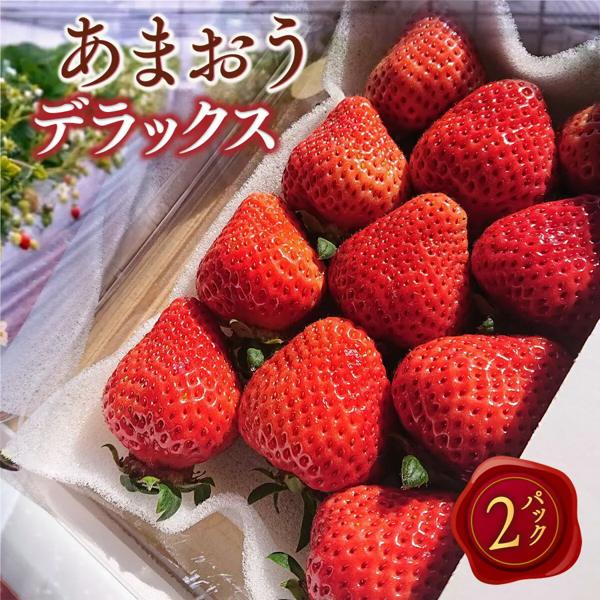 いちご あまおう デラックス 2p いちご 【2027年発送】