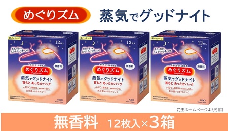 SA2204　めぐりズム 蒸気でグッドナイト【無香料】　36枚(12枚入×3箱)