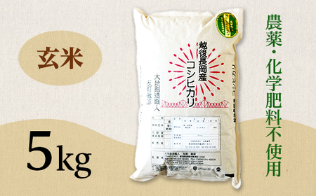E1-G051B新潟県長岡産コシヒカリ玄米5kg