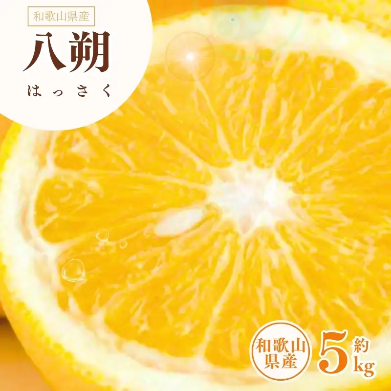 八朔(はっさく)約5kg サイズおまかせ　紀伊国屋文左衛門本舗 ※2027年1月下旬～2027年4月上旬頃に発送予定【kstb410B】