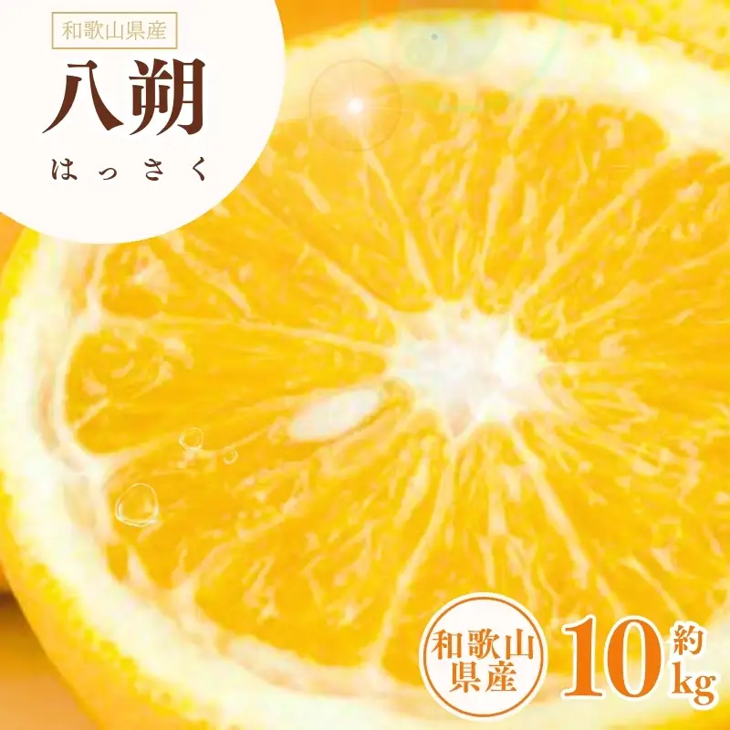 八朔(はっさく)約10kg サイズおまかせ　紀伊国屋文左衛門本舗 ※2027年1月下旬～2027年4月上旬頃に発送予定【kstb411C】