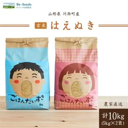 令和8年産　山形県産　はえぬき　玄米　10kg_米 こめ 玄米 はえぬき 山形県 ブランド米 産地直送 人気 おすすめ 贈答 ギフト プレゼント 送料無料 お取り寄せ お米 ごはん_【1144538】