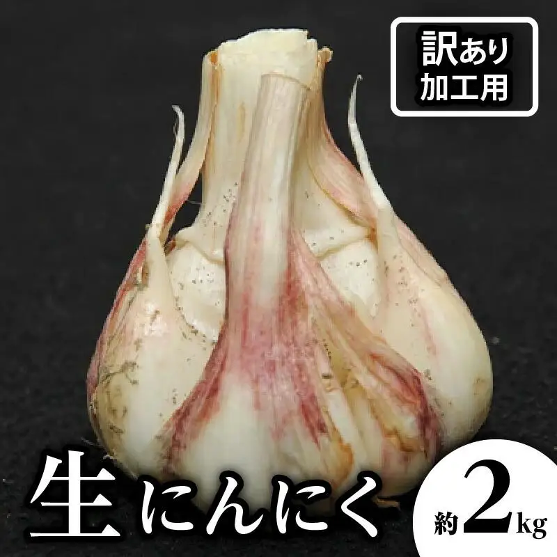 加工用 訳あり 生にんにく 約2kg【2026-5月上旬～2026-6月上旬配送】| にんにく