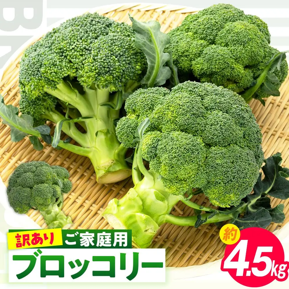 訳あり ご家庭用ブロッコリー 約4.5kg【2026-11月中旬～2027-5月下旬配送】