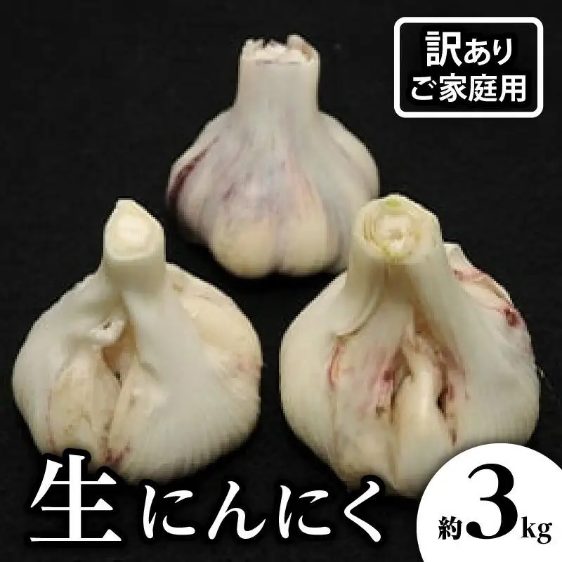 訳あり ご家庭用 生にんにく 約3kg【2026-5月上旬～2026-6月上旬配送】| にんにく