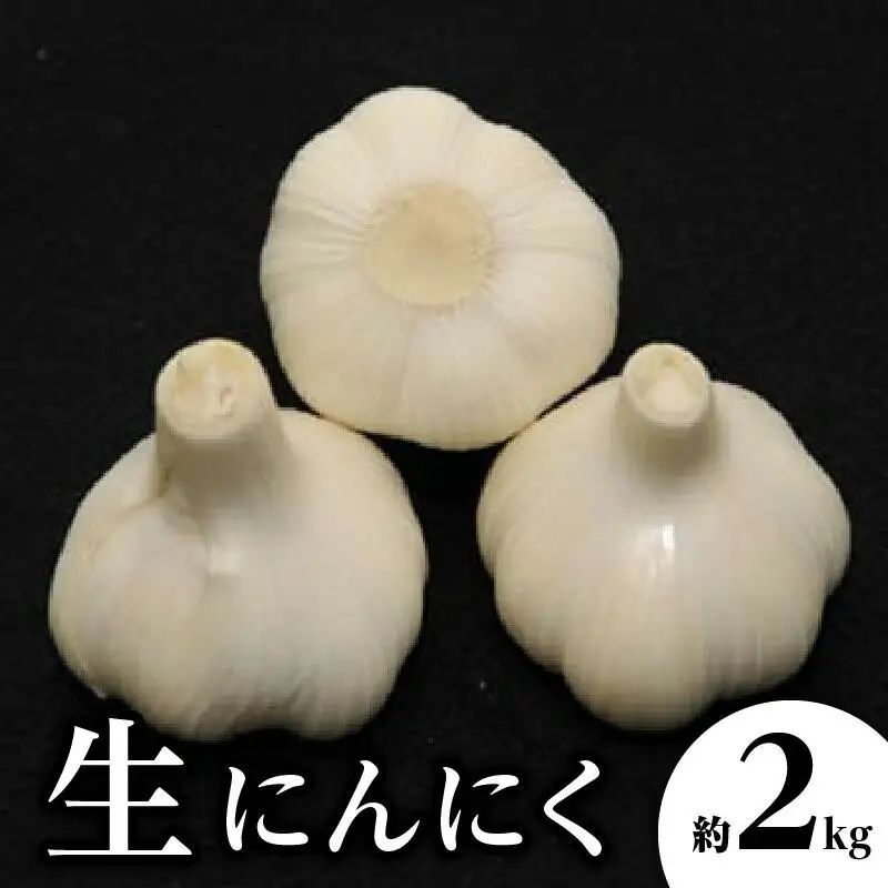 生にんにく 約2kg【2026-5月上旬～2026-6月上旬配送】| にんにく