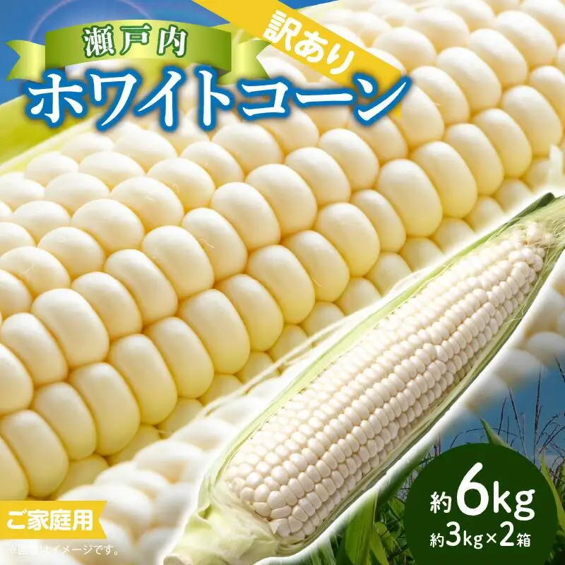 訳あり ご家庭用 瀬戸内ホワイトコーン 約6kg【2027-6月中旬～2027-7月中旬配送】| コーン