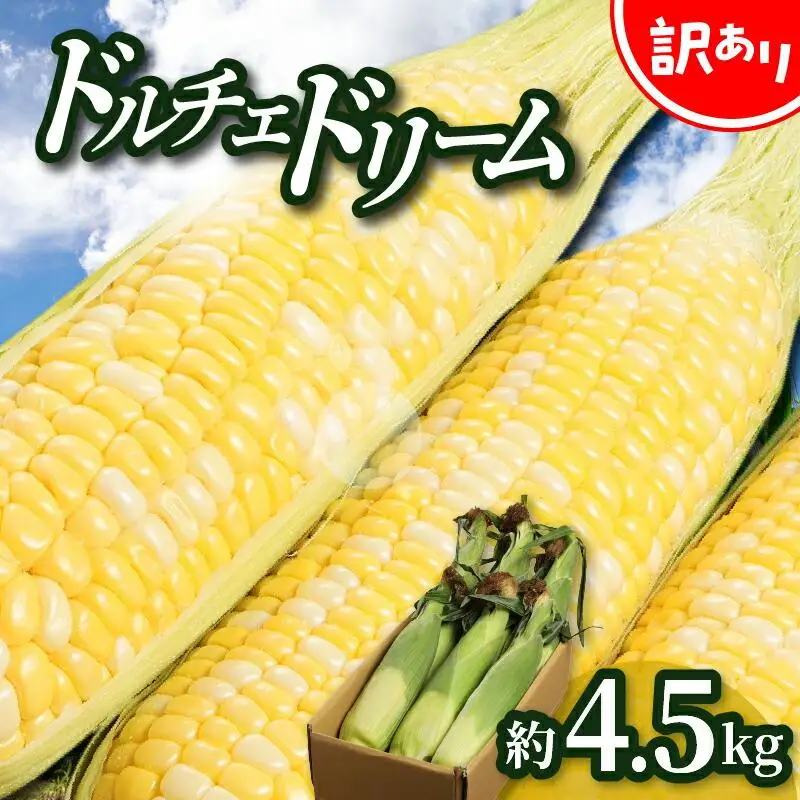 ＼寄附額改定／訳あり ご家庭用ドルチェドリーム 約4.5kg【2027-6月上旬～2027-7月上旬配送】
