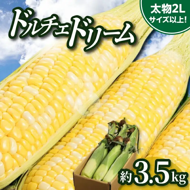 ＼寄附額改定／食べ応え抜群 太物2Lサイズ以上!ドルチェドリーム 約3.5kg【2027-6月上旬～2027-7月上旬配送】