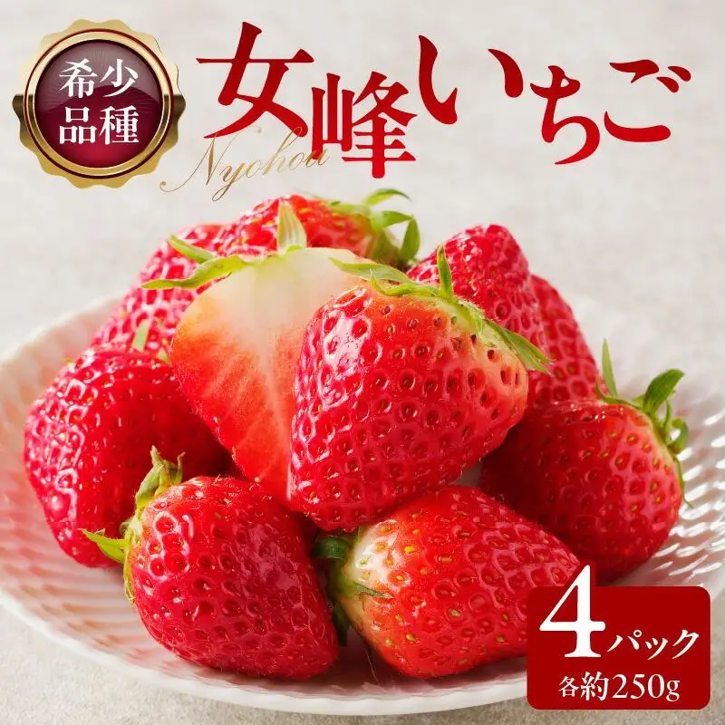 希少品種　女峰いちご4パック(各約250g)【2027年1月中旬～2027年6月下旬配送】
