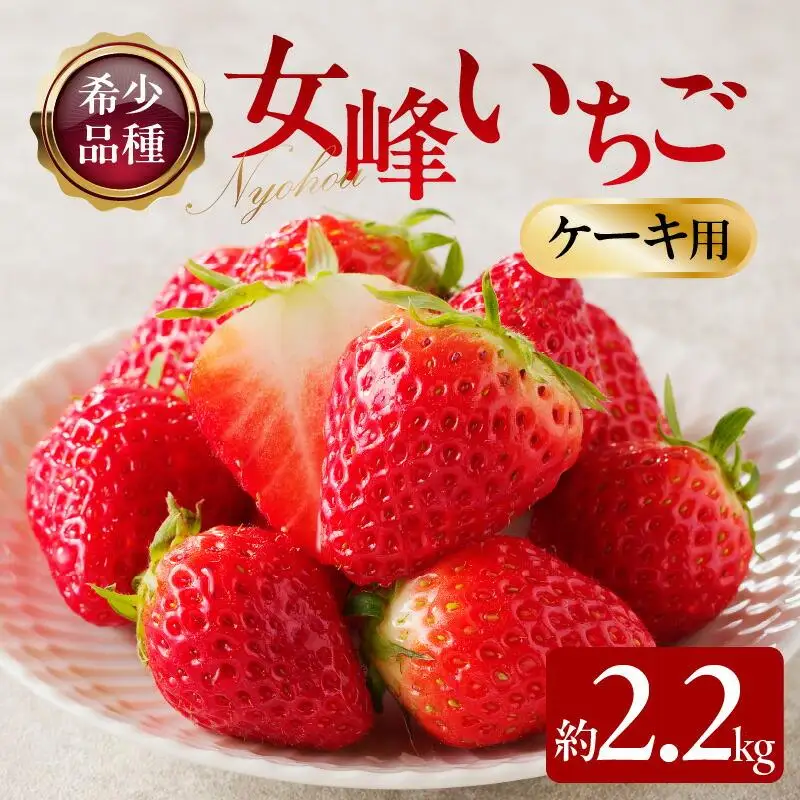 希少ないちご ケーキ用 女峰いちご 約2.2kg【2027年1月上旬～2027年5月下旬配送】