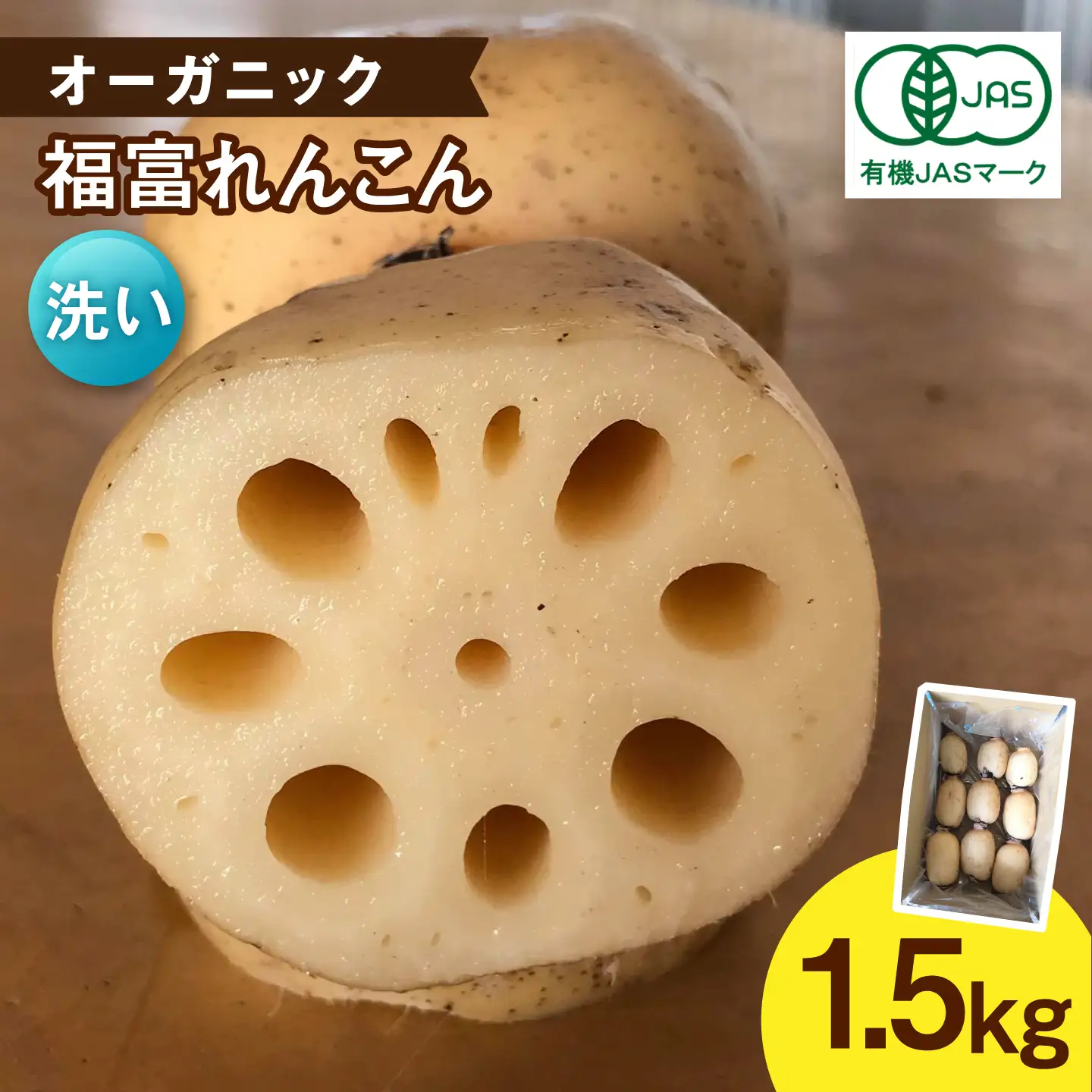 【洗い】【2026年9月〜発送】節切り 希少なオーガニック 福富れんこん 約1.5kg / れんこん [IBC003]