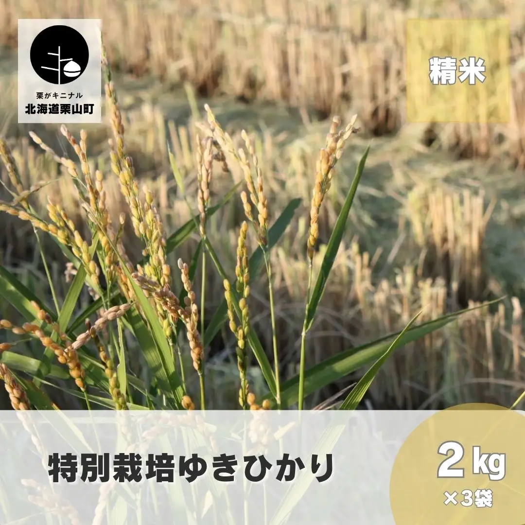 特別栽培米ゆきひかり（精米）2kg×3袋