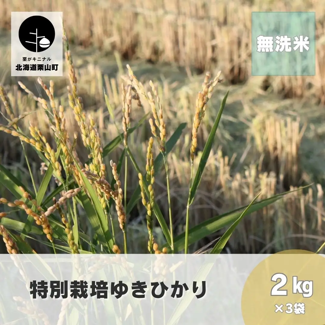 特別栽培米ゆきひかり（無洗米）2kg×3袋