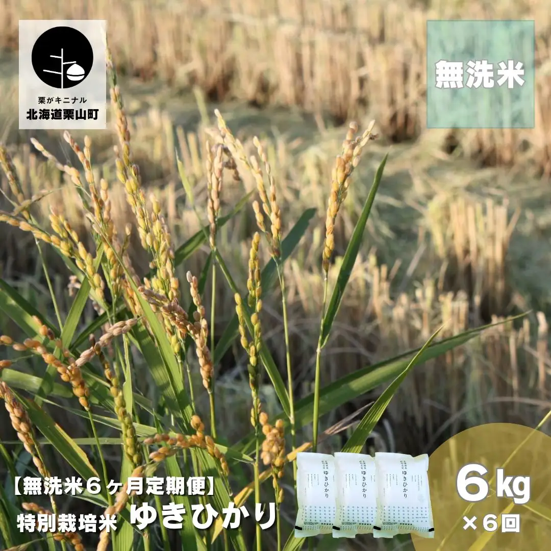 【無洗米6ヶ月定期便】特別栽培米ゆきひかり2kg×3袋
