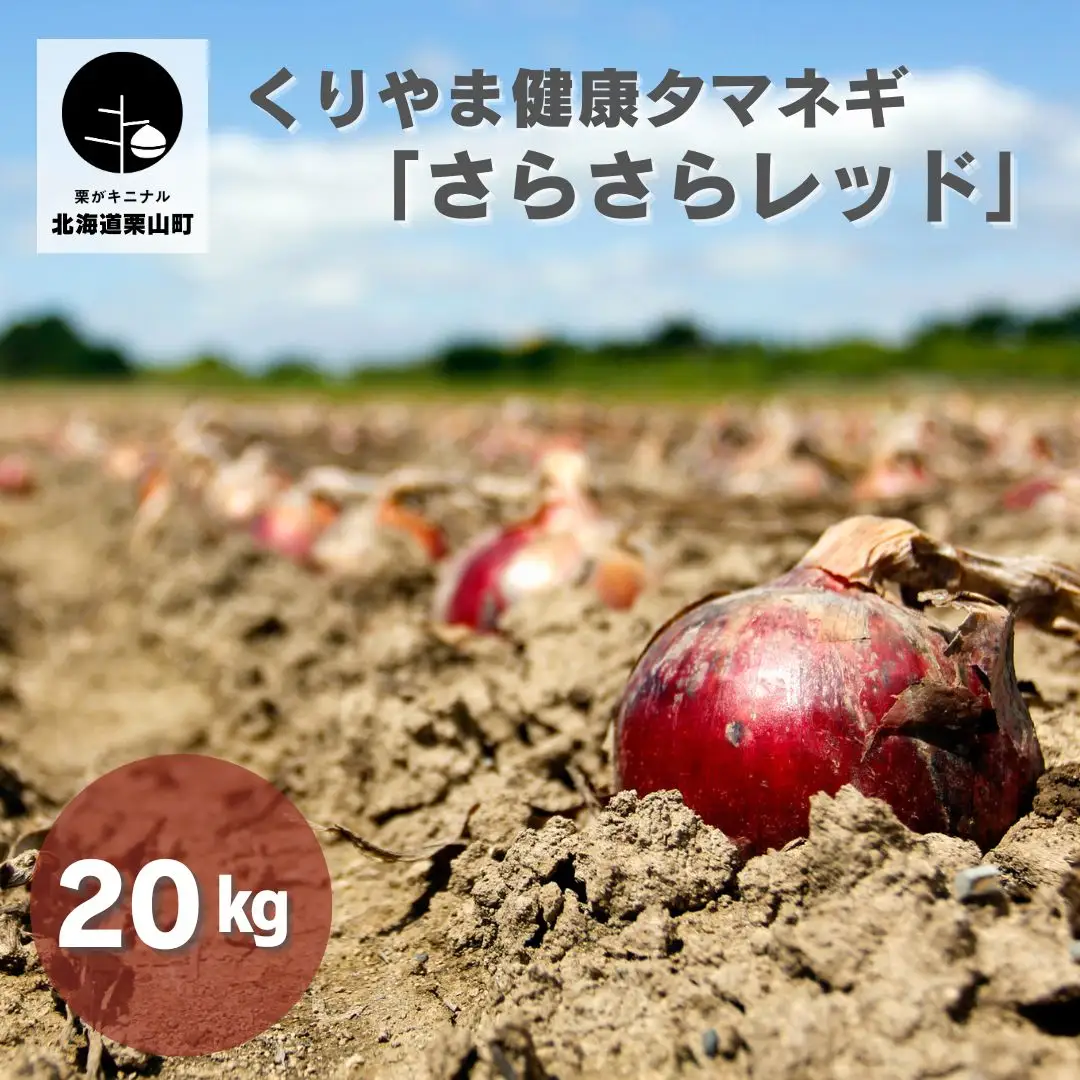 くりやま健康タマネギ「さらさらレッド」20kg