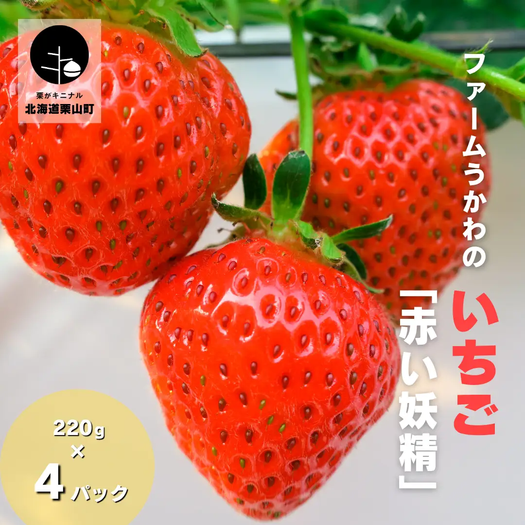 もぎたて！ファームうかわのいちご「赤い妖精」4パック