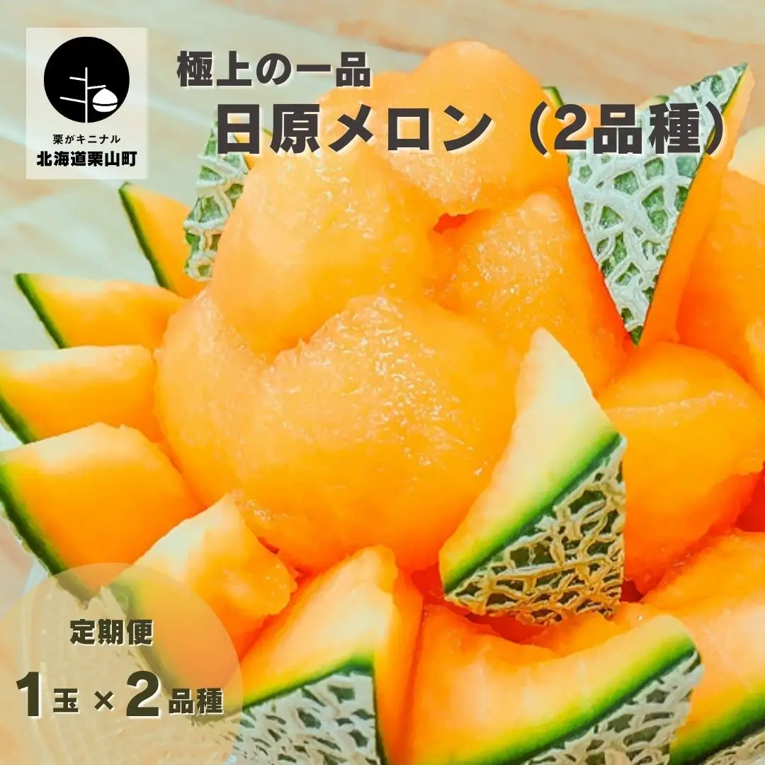 極上の一品「日原メロン」1玉×2品種食べ比べ定期便 北海道産赤肉メロン