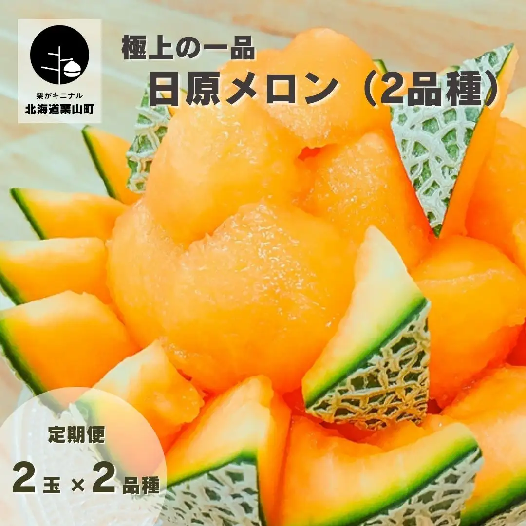極上の一品「日原メロン」2玉×2品種食べ比べ定期便 北海道産赤肉メロン