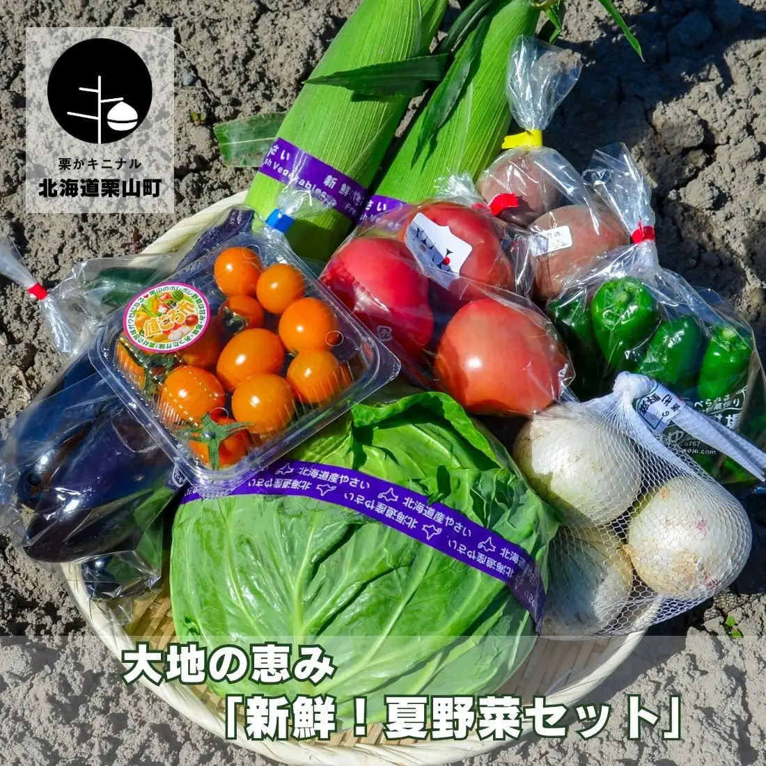 大地の恵み 「新鮮！夏野菜セット」