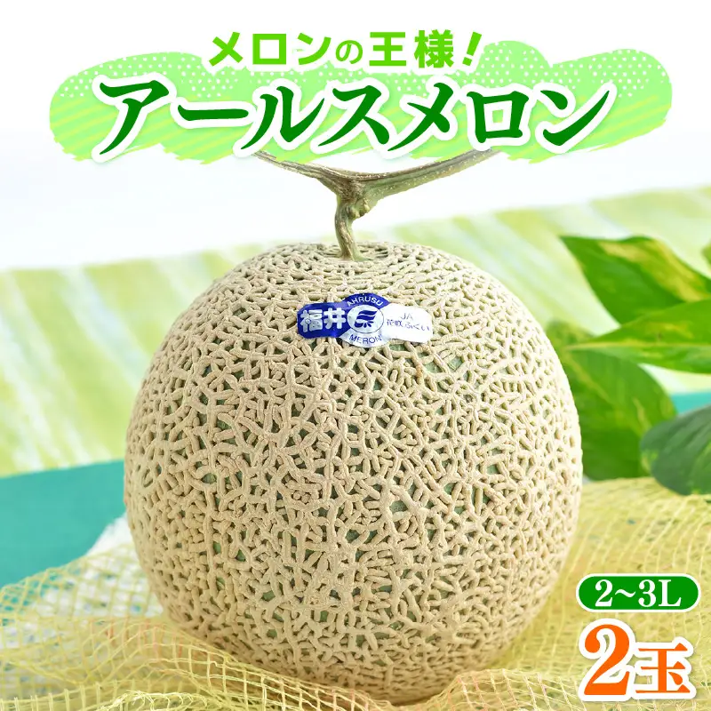 【先行予約】メロンの王様！アールスメロン 2玉入 2～3L 〈贈答用にも最適な最高級メロン〉／ 期間限定 果物 フルーツ 高級メロン マスクメロン 青肉 産地直送 ※2027年7月上旬より順次発送 [aw003-a011]