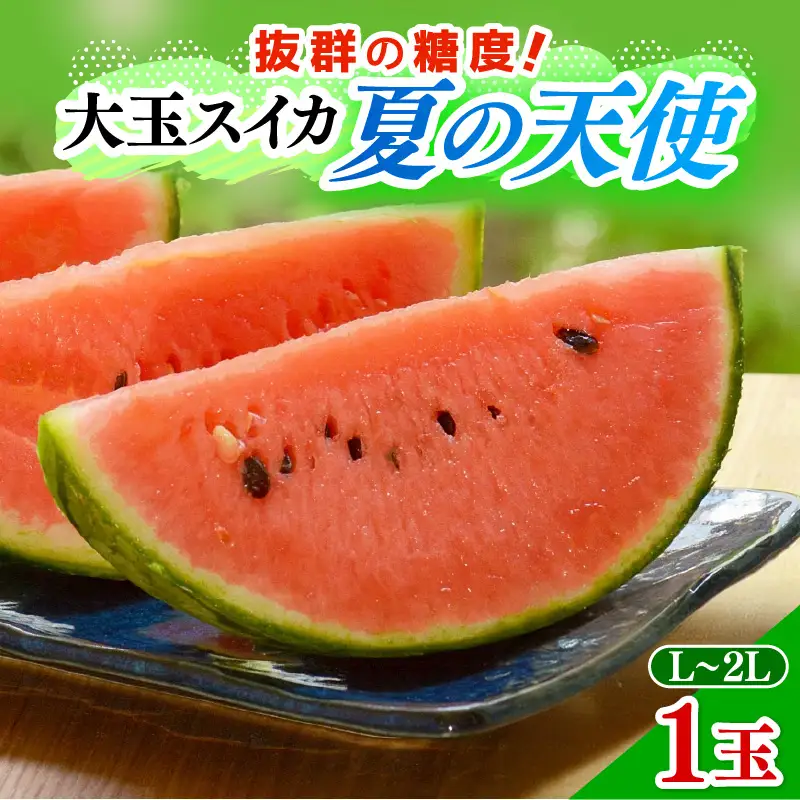 【先行予約】大玉スイカ「夏の天使」 1玉入 （L～2L）抜群の糖度で甘い！／ 期間限定 果物 フルーツ 西瓜 産地直送 ※2027年7月中旬より順次発送 [aw003-a002]
