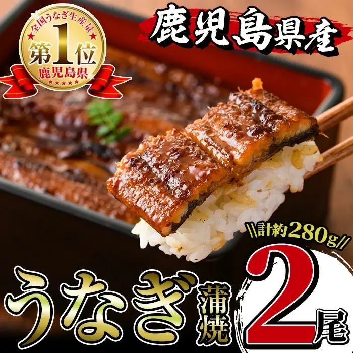 i505 鹿児島県産うなぎ蒲焼2尾セット(約140g×2・計約280g) うなぎ 鰻 ウナギ 2尾 蒲焼き 国産 鹿児島県産 焼きたて 生産量日本一 真空パック おかず 晩御飯 特別な日 【薩摩川内鰻】