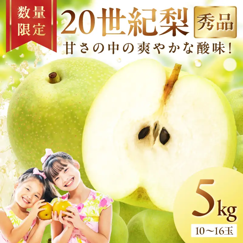 梨 【先行予約／数量限定600】20世紀梨（秀品） 5kg（10～16玉）（2026年8月下旬～発送）フルーツ 果物 梨 なし ナシ 20世紀梨 二十世紀梨 贈答向け