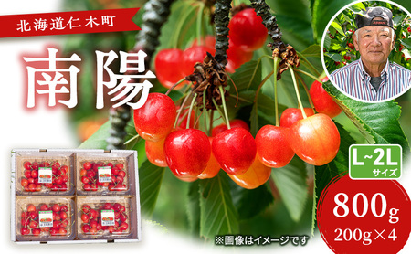 さくらんぼ 800g 南陽 L-LLサイズ混合 サクランボ