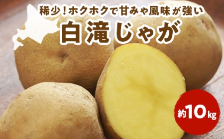  2026白滝じゃが 約10kg ( ふるさと納税 じゃがいも ジャガイモ 北海道産 希少生産 白滝じゃが 大容量 北海道 遠軽町 えんゆう農業協同組合 ) en01-00044