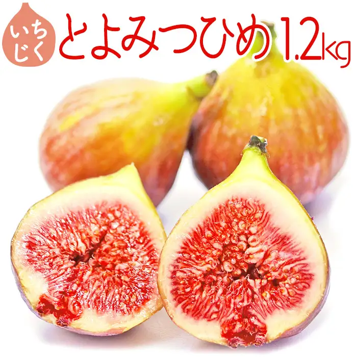 【福岡県産】とよみつひめ（イチジク） 1.2kg(300g×4P) 2J7