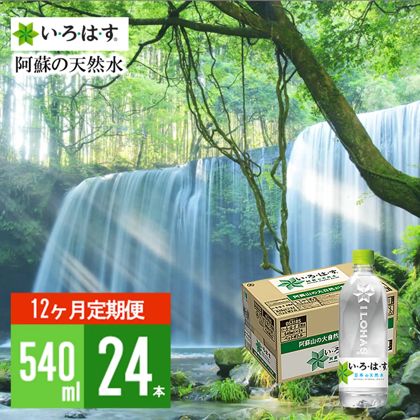 【学びやの里】12回 定期便 い・ろ・は・す 阿蘇の天然水 540ml 24本 1ケース 12ヶ月 計288本 いろはす ILOHAS コカ・コーラ ナチュラルミネラルウォーター 国内ミネラルウォーター 天然水 ミネラルウォーター 地下水 鉱水 九州 熊本 阿蘇 常温配送