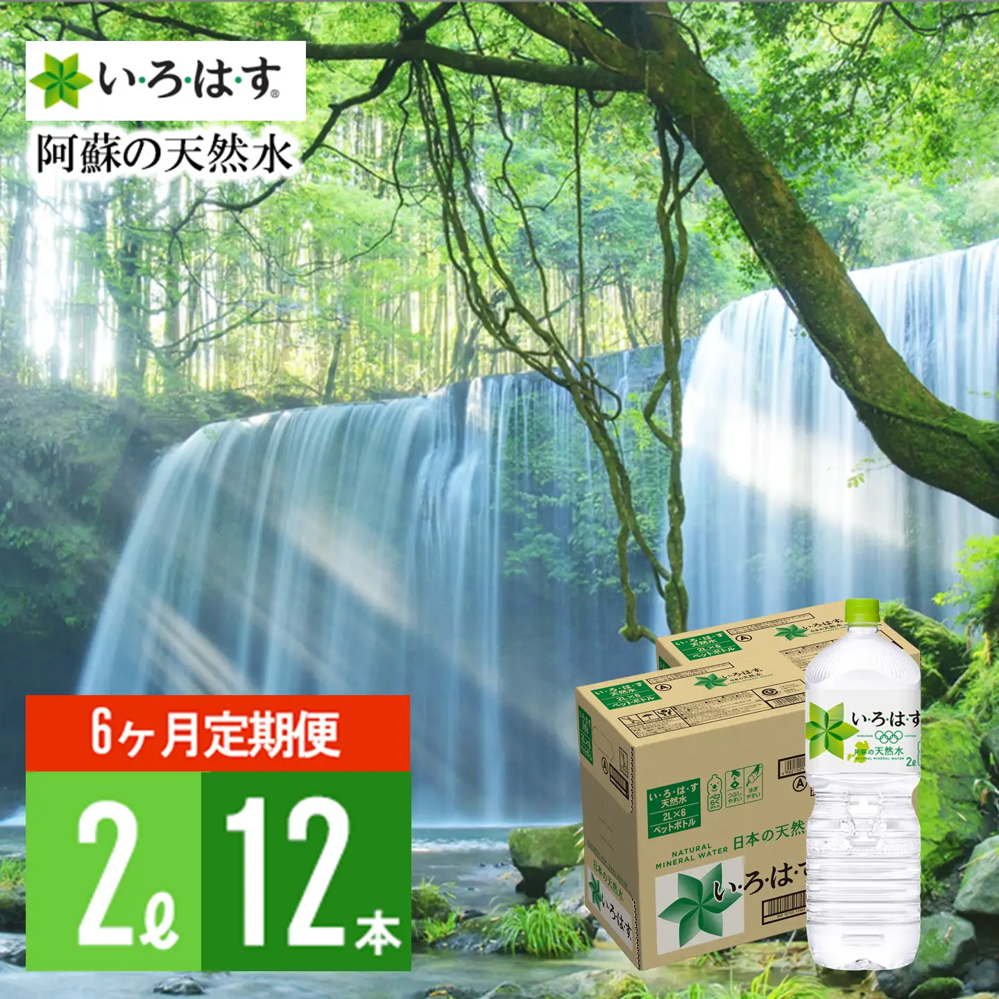 【学びやの里】6回 定期便 い・ろ・は・す 阿蘇の天然水 2L 12本 2ケース 計72本 144L いろはす ILOHAS コカ・コーラ ナチュラルミネラルウォーター 国内ミネラルウォーター 天然水 ミネラルウォーター 地下水 鉱水 九州 熊本 阿蘇 常温配送