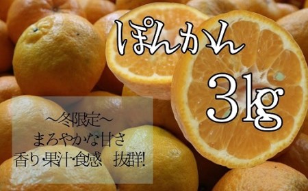 【R8年発送】早川農園のぽんかん（３kg） 【R00095】