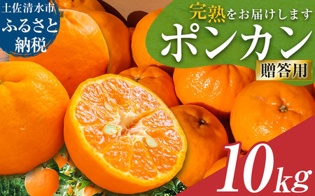 【令和８年発送】オレンジ園のぽんかん10kg  【R01084】