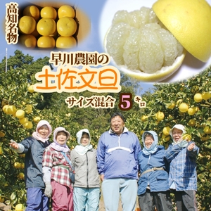 【令和９年２月中旬】早川農園の土佐文旦（５kg） 柑橘 フルーツ みかん ミカン 果物 果実 5キロ ザボン ぶんたん ブンタン おやつ デザート 甘い 美味しい ギフト 土佐 名物 国産【R00345】