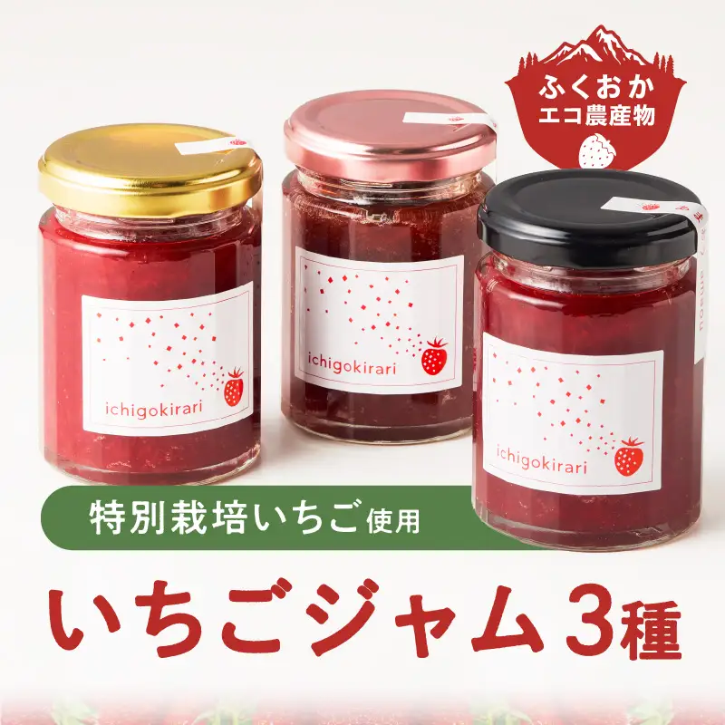 いちごジャム3種セット（特別栽培いちご使用）_いちごジャム3種セット 特別栽培いちご使用 120g × 3個 詰め合わせ 化粧箱入り 瓶 エコ農産物 濃厚 あまおう いちごの王様 ブレンド すず 風味豊か 華やか 糖度 高い スコーン ワッフル トースト グルメ 贈り物 福岡県 久留米市 お取り寄せ 送料無料 〔Ca011〕