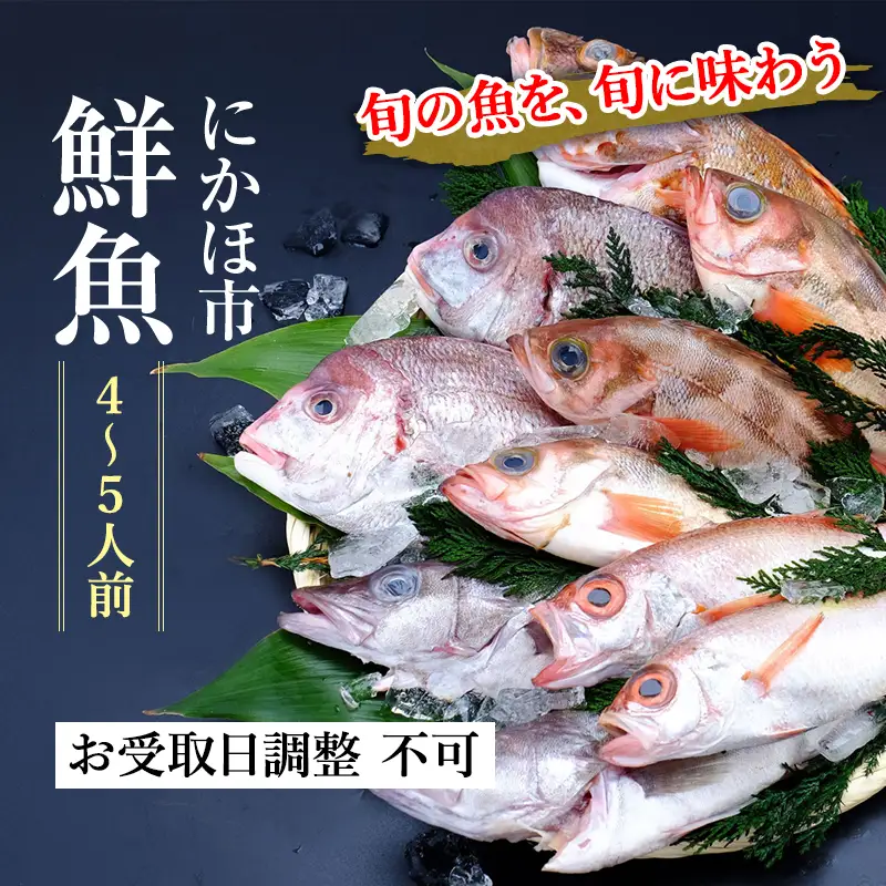 鮮魚 下処理済み 日本海の鮮魚 4～5人前(5～8種類) セット 魚 パック 詰め合わせ 海鮮セット 鮮魚ボックス 海鮮 海産物 海の幸 魚介 魚介類 刺身 切り身 ひらめ 鯛 甘エビ 鯵 あんこう 鮭 カレイ ハタハタ 鱈 ズワイガニ 冷蔵 発送メールのみ