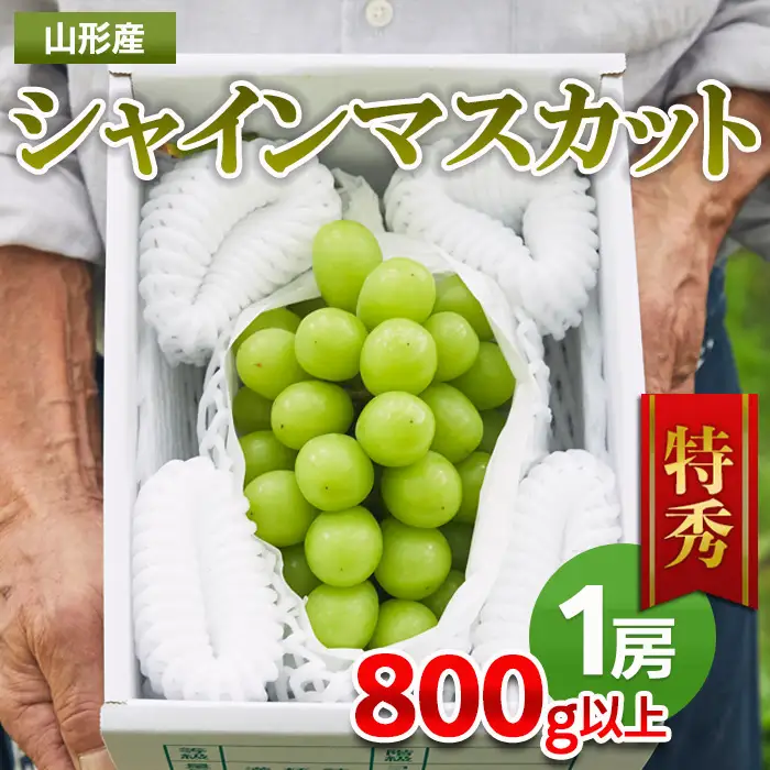 山形市産 シャインマスカット 特秀 1房 800g以上【前半】  FZ21-909