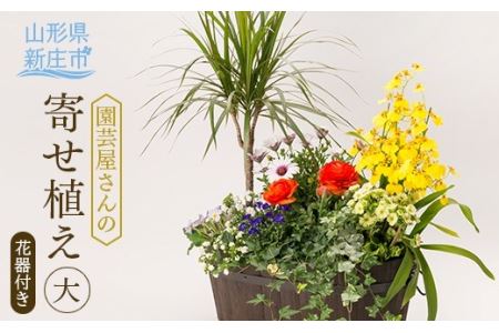 園芸屋さんの寄せ植え大 F3S-0591
