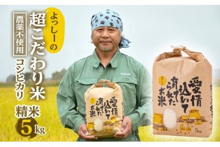 【先行予約】令和7年産 よっしーの超こだわり米(農薬不使用) コシヒカリ （精米）5kg こしひかり 米 お米 おこめ 山形県 新庄市 F3S-2496