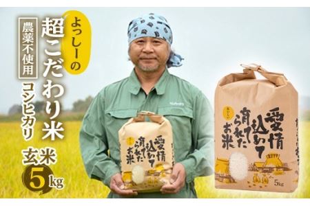 【先行予約】令和7年産 よっしーの超こだわり米(農薬不使用) コシヒカリ （玄米）5kg こしひかり 米 お米 おこめ 山形県 新庄市 F3S-2497