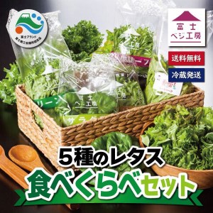 富士レタス 新鮮レタス5種類×2株 食べ比べセット 富士山の伏流水 栽培期間中農薬不使用 新鮮 グリーンリーフ レッドリーフ コーラルリーフ フリルリーフ サラダ菜 長持ち 高い栄養 水耕栽培 小林クリエイト アグリ事業部 静岡県 富士市 [sf002-103]