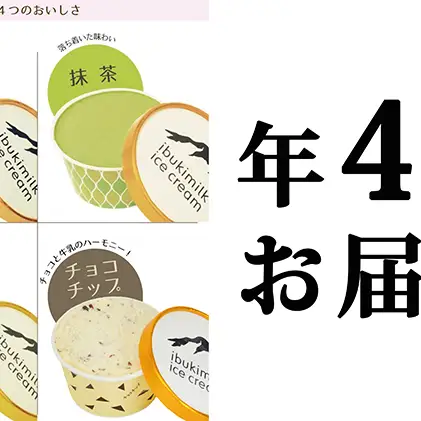 伊吹牛乳のアイスクリーム9個セット年4回お届け