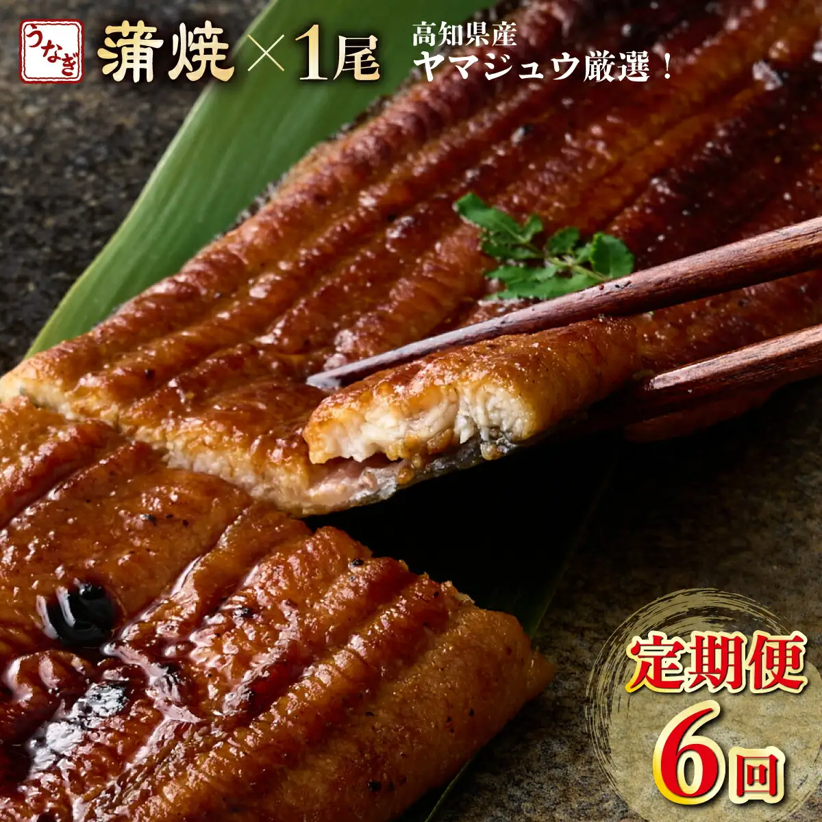 うなぎ蒲焼き 1尾 定期便 6回 うなぎ yj044