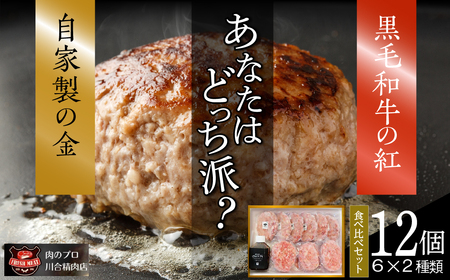 ハンバーグ 食べ比べ 12個 (6個×2種) 肉 牛肉 福島県 田村市