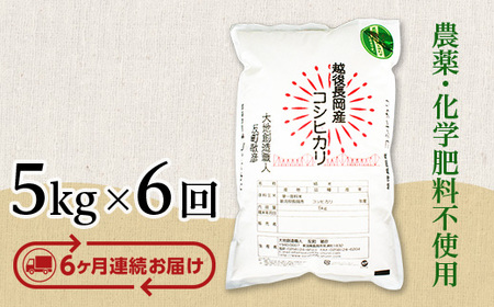 E1-S056B【6ヶ月連続お届け】新潟県長岡産コシヒカリ5kg